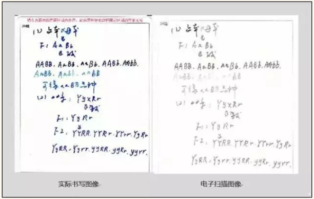 專升本考試答題中常見的錯誤及應對措施 專升本考試答題中常見的錯誤及應對措施