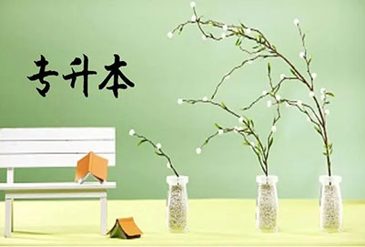 專轉(zhuǎn)本電子信息類考什么