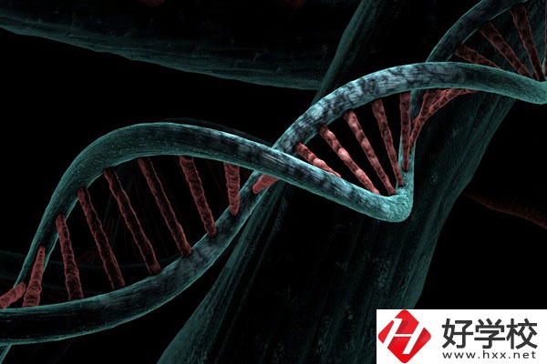 溆浦縣職業(yè)中等專業(yè)學校宿舍怎么樣？