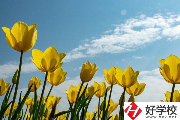 岳陽(yáng)有開設(shè)工業(yè)機(jī)器人技術(shù)應(yīng)用專業(yè)的中職學(xué)校嗎？