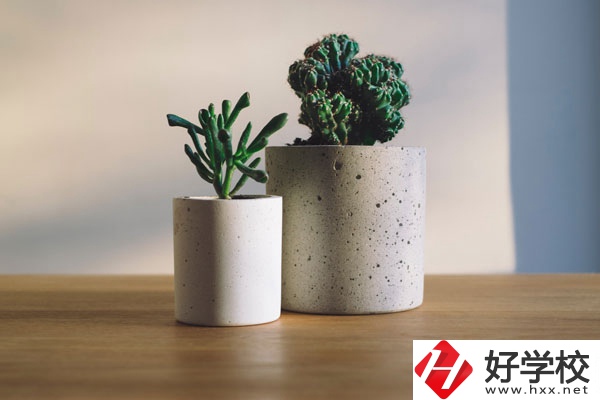 芷江民族職業(yè)中專招生專業(yè)有哪些？收費標準如何？