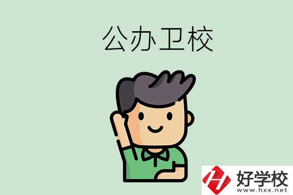 湖南的公辦衛(wèi)校有哪些？這兩所學(xué)校值得推薦！