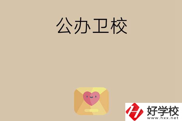 想在湖南上公辦衛(wèi)校？這所學校值得一看