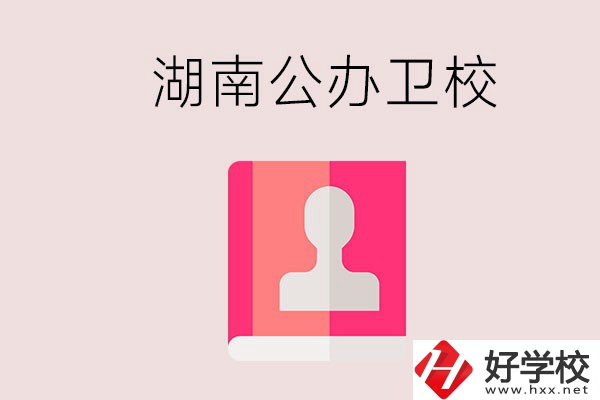 想在湖南上公辦衛(wèi)?？梢赃x擇哪些學(xué)校？