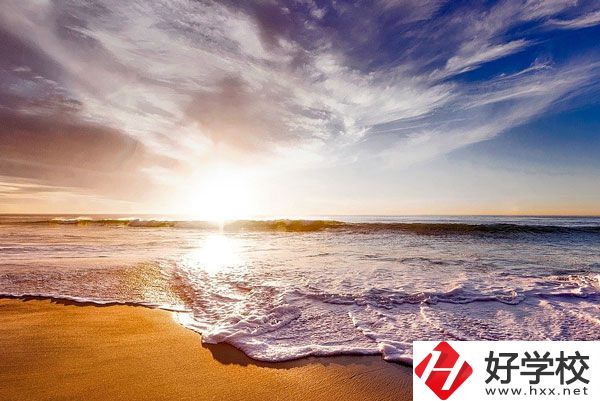 桃源縣機電成人中專學(xué)校有什么專業(yè)？學(xué)生滿意度如何？