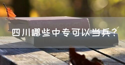 四川哪些中?？梢援?dāng)兵？(圖1)