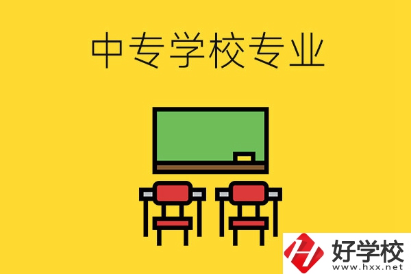湖南的中專學(xué)校有哪些專業(yè)好就業(yè)？