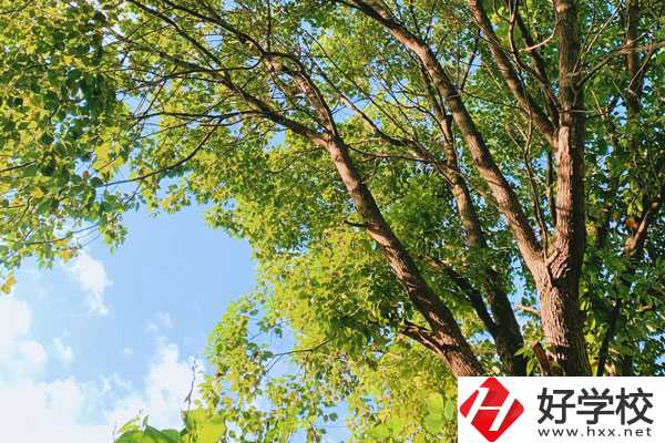 衡陽南華科技學校教學質(zhì)量怎么樣？