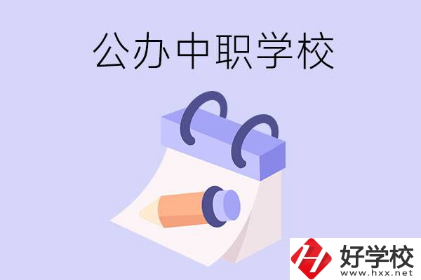 湖南公辦中職學校有哪些辦學規(guī)模比較大的？