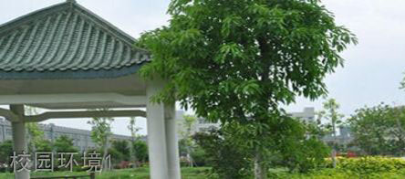 福建財茂工業(yè)技術學校校園環(huán)境1