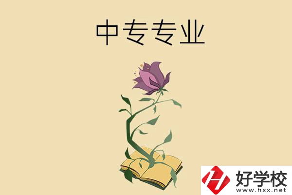 在張家界讀中專，學(xué)什么專業(yè)比較好？