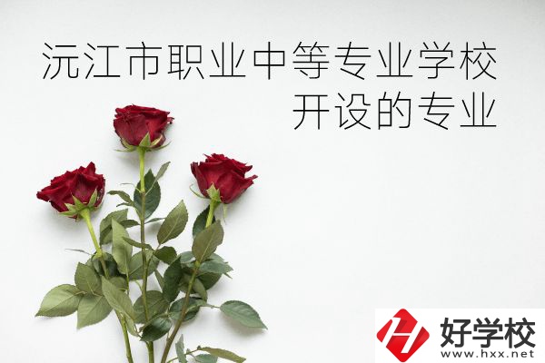 沅江市職業(yè)中等專業(yè)學校怎么樣？開設哪些專業(yè)？