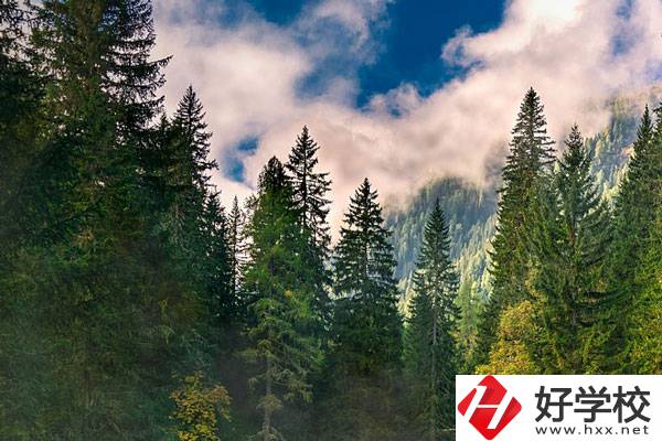 永州東方科技職業(yè)學(xué)校有哪些辦學(xué)特色？