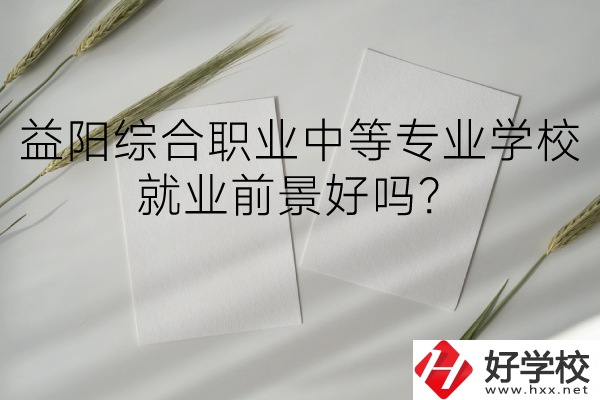 益陽綜合職業(yè)中等專業(yè)學(xué)校如何？就業(yè)前景好嗎？