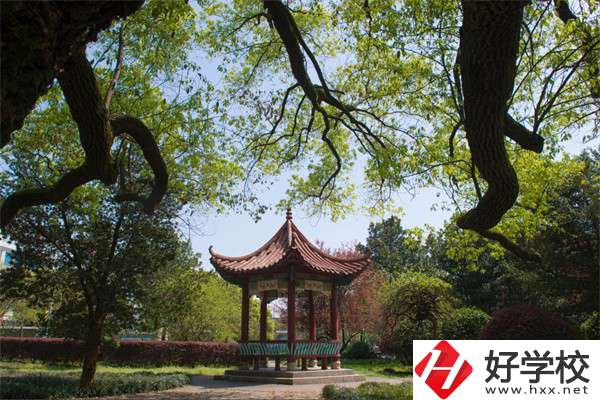 長沙市望城區(qū)職業(yè)中等專業(yè)學校的官網(wǎng)是什么？