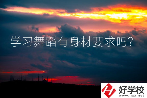 懷化有可以學(xué)習(xí)舞蹈的中專學(xué)校嗎？有身材要求嗎？