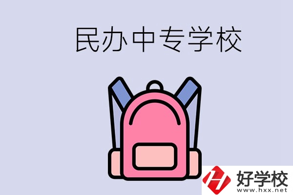 益陽的民辦中專學(xué)校有多少所？辦學(xué)怎么樣？
