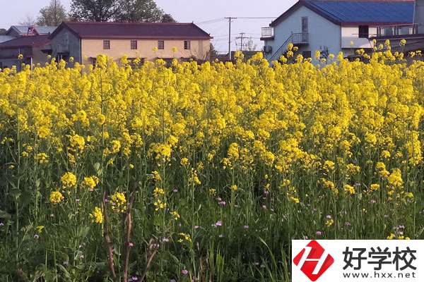 湖南省有哪些比較好的技校？熱門專業(yè)有哪些？