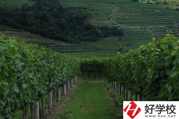 中鋼集團衡陽重機技工學(xué)校好不好？值得讀嗎？