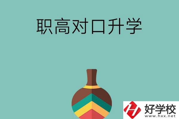 湖南職高對口升學(xué)可以考哪些大專？