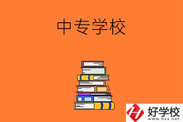 懷化市有哪些公立的中專學校？