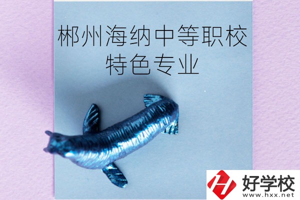 郴州海納中等職業(yè)技術(shù)學(xué)校有些什么特色專業(yè)？