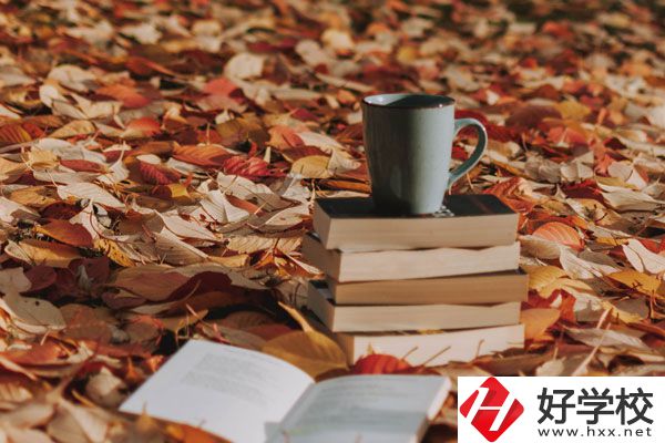 中方縣職業(yè)中等專業(yè)學校有什么專業(yè)？好不好？