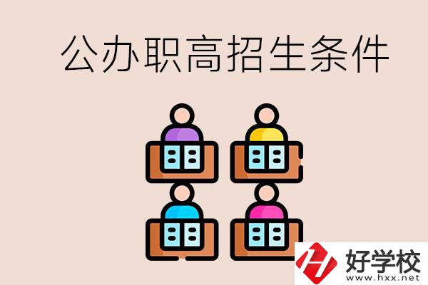 邵陽市有哪些公辦職高？學校的招生條件是什么？