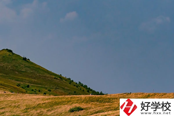 想在常德學(xué)動(dòng)漫設(shè)計(jì)專業(yè)，有合適的學(xué)校嗎？
