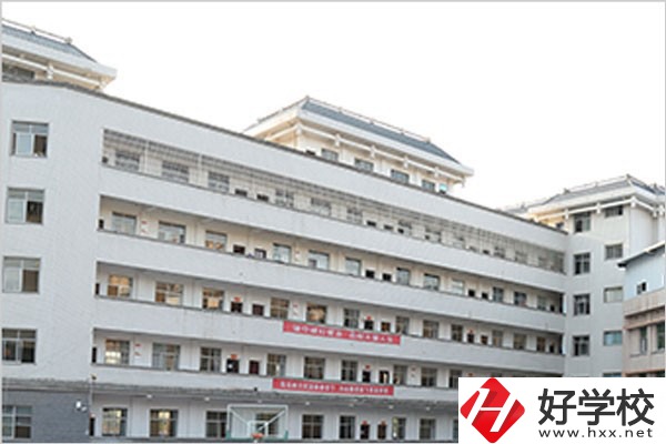 懷化啟航衛(wèi)生學校教學樓