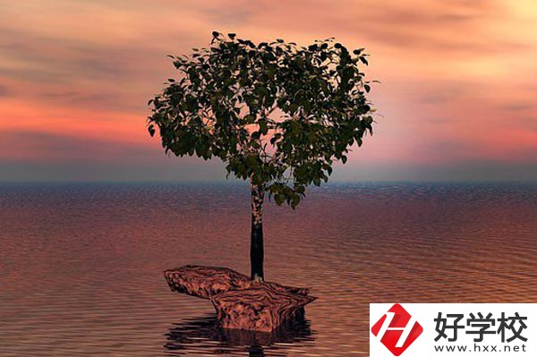 湖南省中南藝術(shù)學(xué)校收費(fèi)標(biāo)準(zhǔn)怎么樣？