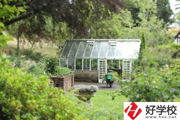 湖南省商業(yè)技師學院開設哪些專業(yè)？就業(yè)情況如何？