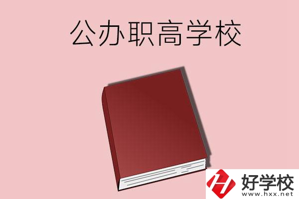 湖南有什么公辦的職高學校？