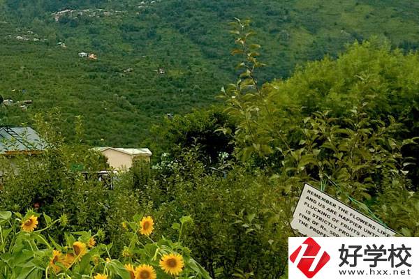 長沙公辦中職學(xué)校好不好？都有哪些學(xué)校？