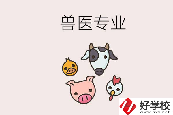 湖南哪些職校能學獸醫(yī)專業(yè)？學獸醫(yī)前景怎么樣？