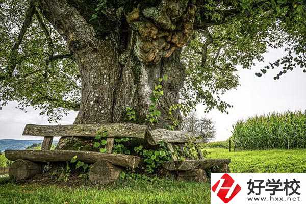 湖南特教中等專業(yè)學(xué)校有哪些特色專業(yè)？有資助政策嗎？