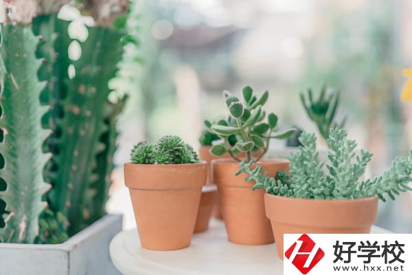 瀏陽市三聯(lián)工業(yè)學校辦學條件怎么樣？