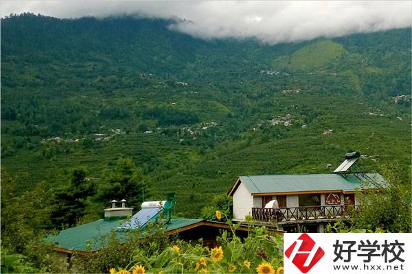 益陽大誠職業(yè)學校的專業(yè)怎么樣？就業(yè)方向如何？