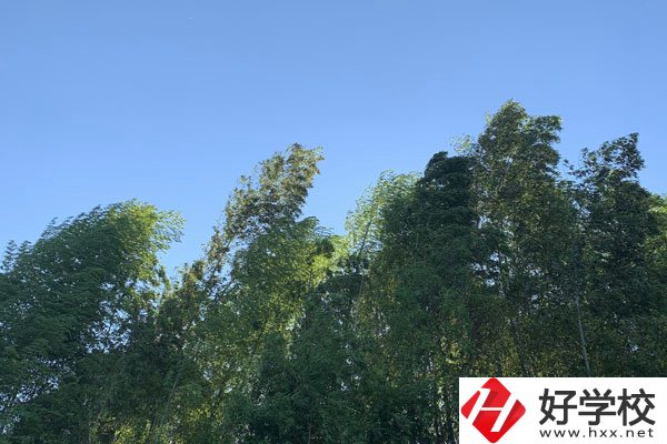 張家界協(xié)力技工學(xué)校好不好？就業(yè)前景怎么樣？