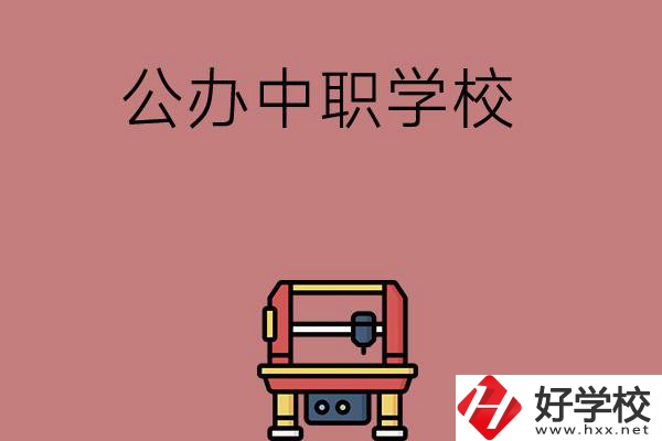 長沙可以學(xué)計(jì)算機(jī)應(yīng)用專業(yè)的公辦中職學(xué)校有哪些？