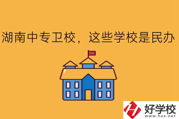湖南中專衛(wèi)校，這些學(xué)校是民辦!