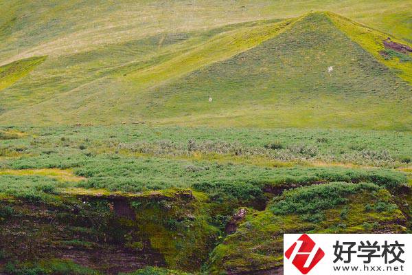 湖南衡南職業(yè)中等專業(yè)學校好嗎？學校有什么優(yōu)勢？