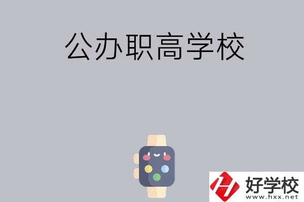 長(zhǎng)沙哪些公辦職高學(xué)校比較有特色？