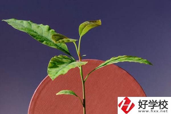 株洲市工業(yè)中等專校怎么樣？好不好？