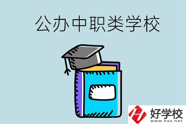 湘西的公辦中職類學(xué)校一共有多少所？
