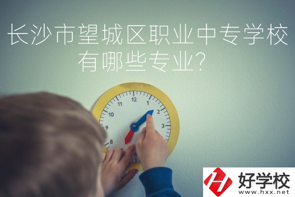 長(zhǎng)沙市望城區(qū)職業(yè)中等專業(yè)學(xué)校有哪些專業(yè)？