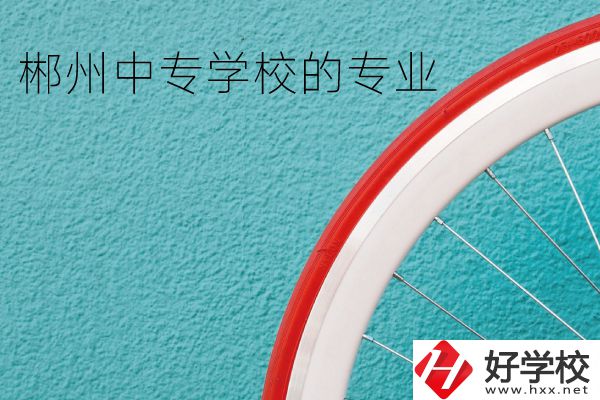 郴州中專學(xué)校有什么專業(yè)？