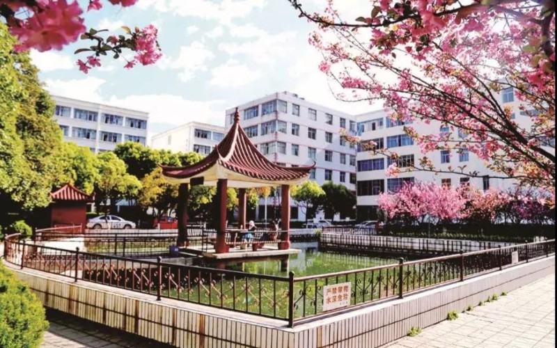 2024年江西省龍南縣職業(yè)中等專業(yè)學校有哪些專業(yè)