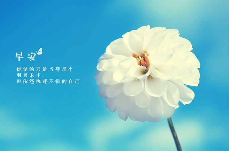 貴州貴陽市商貿(mào)學(xué)校2025年有哪些專業(yè)
