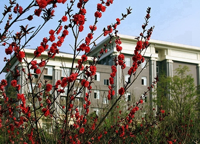 貴州建設職業(yè)技術(shù)學院中職部招生專業(yè)有那些